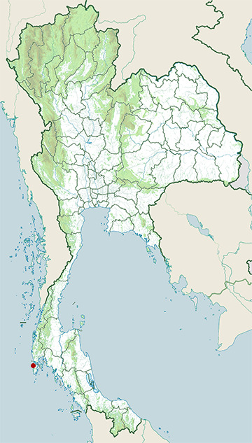 Distribution map of Pantropical spotted dolphin, Stenella attenuata in Thailand